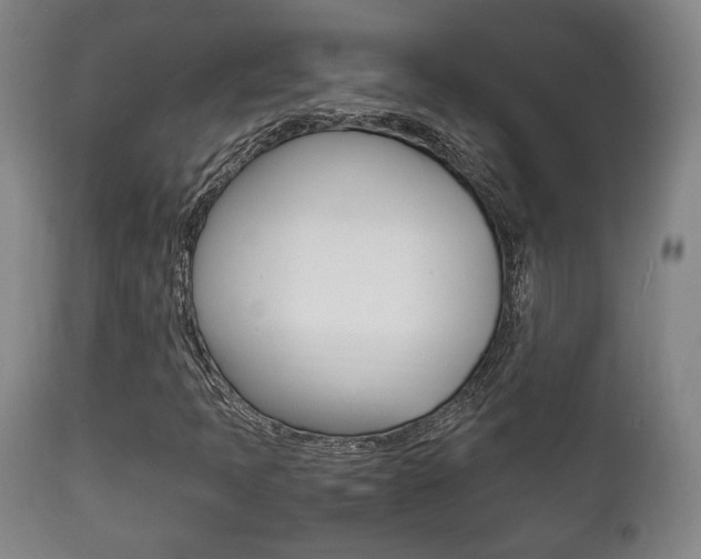 X0000111781397200907230938