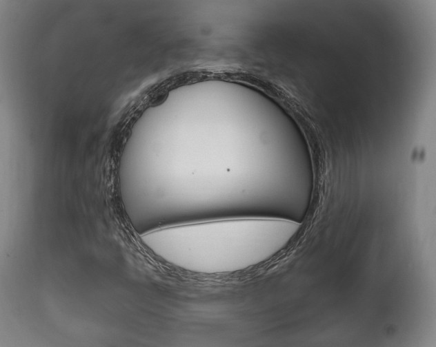 X0000111781398200907230938