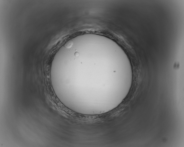 X0000111781399200907230938