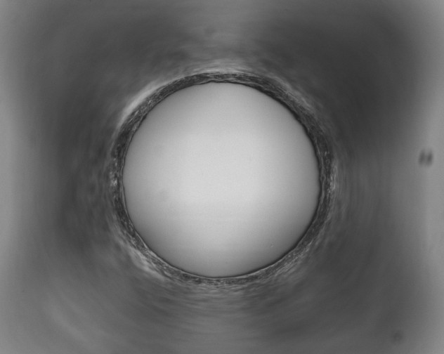 X0000111781400200907230938