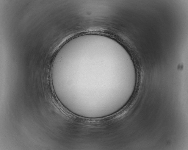 X0000111781401200907230938