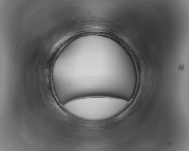 X0000111781402200907230938