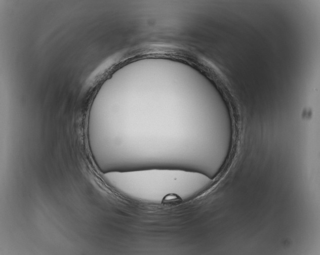 X0000111781403200907230938