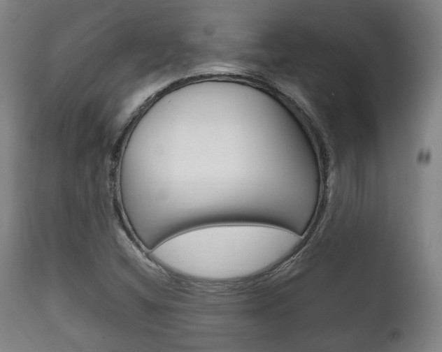 X0000111781404200907230938