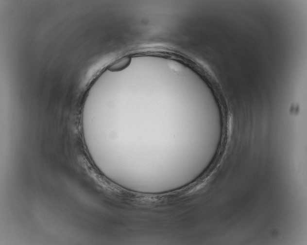 X0000111781405200907230938
