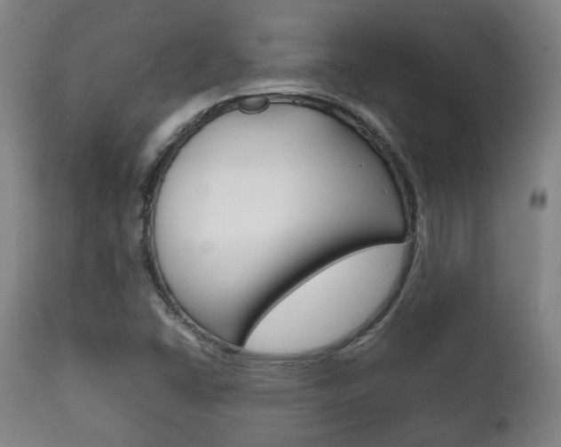 X0000111781406200907230938