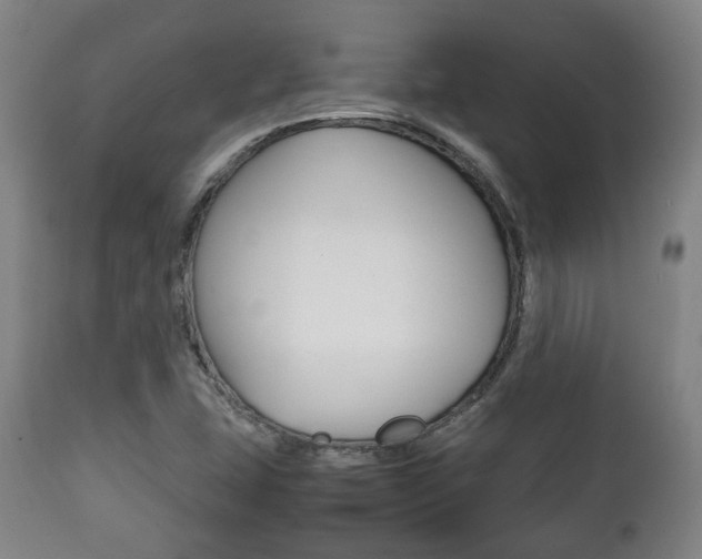 X0000111781407200907230938