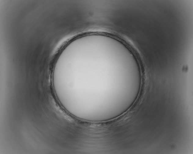 X0000111781408200907230938