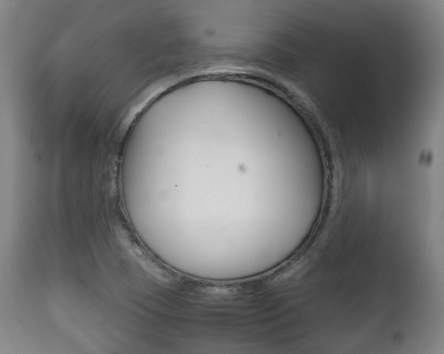 X0000111781409200907230938