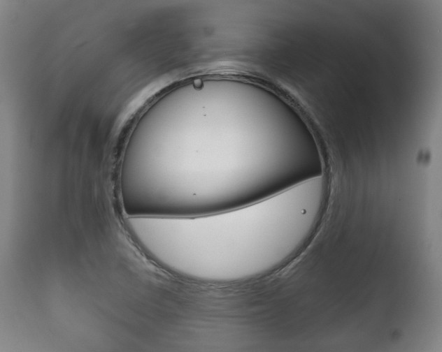 X0000111781410200907230938