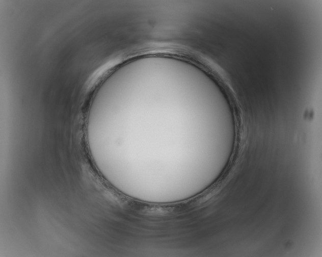 X0000111781411200907230939