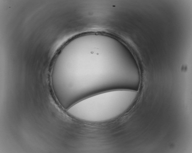 X0000111781412200907230939