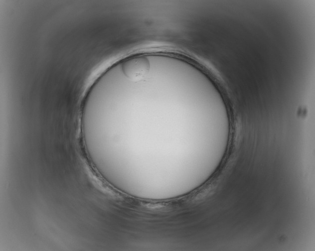 X0000111781413200907230939