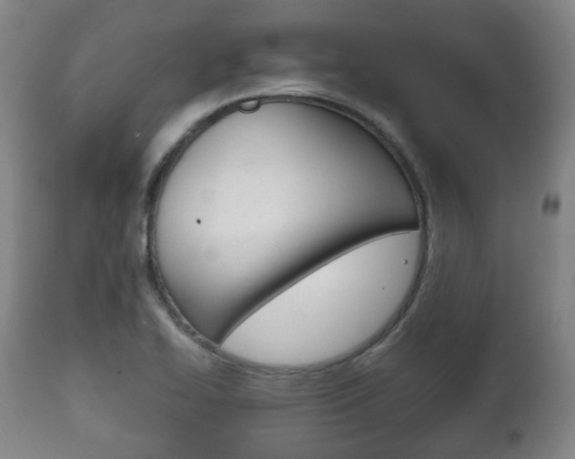 X0000111781414200907230939