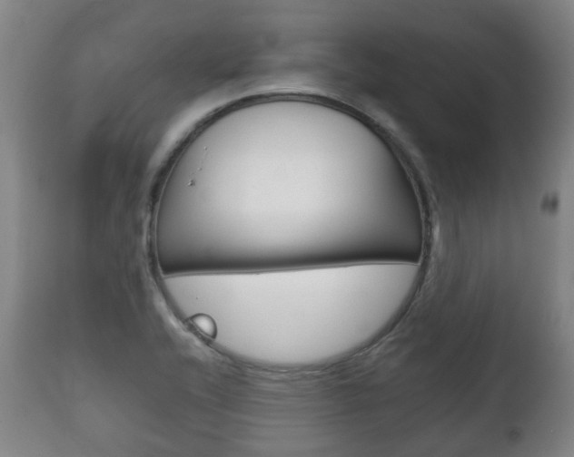 X0000111781416200907230939