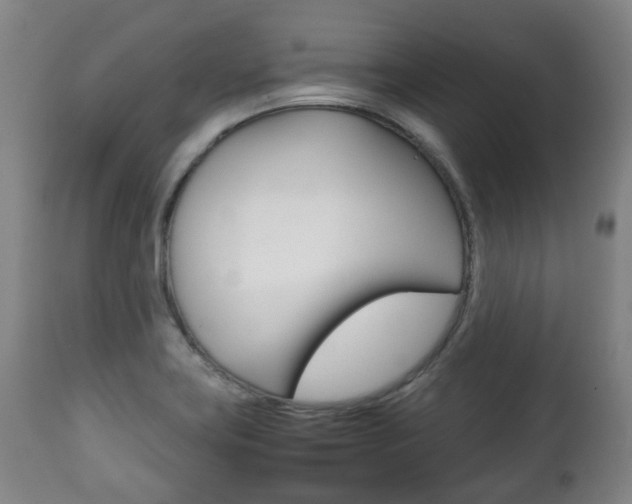 X0000111781419200907230939