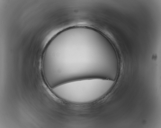 X0000111781420200907230939