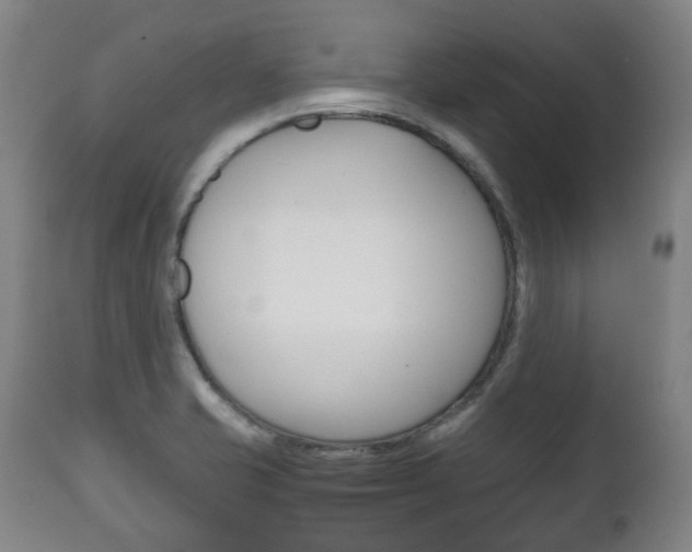 X0000111781421200907230939