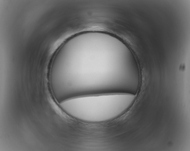X0000111781422200907230939