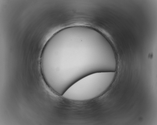 X0000111781423200907230939