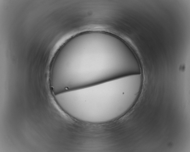 X0000111781424200907230939