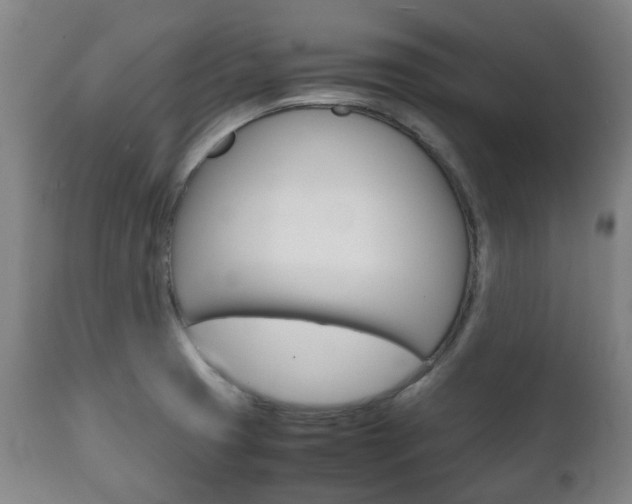 X0000111781425200907230939