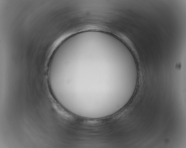 X0000111781427200907230939