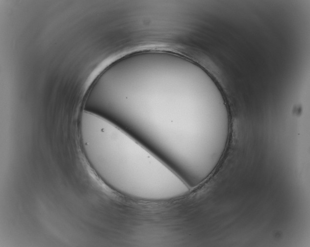 X0000111781428200907230939
