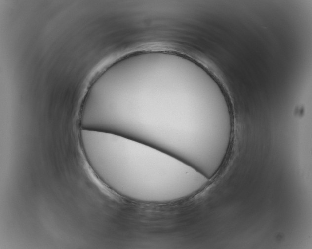 X0000111781429200907230939