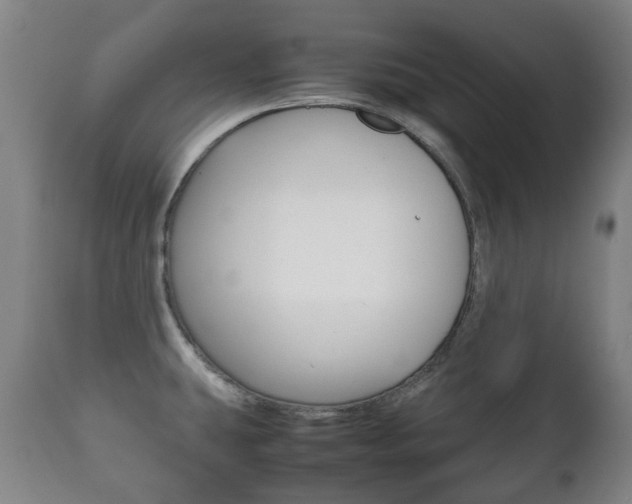 X0000111781431200907230939
