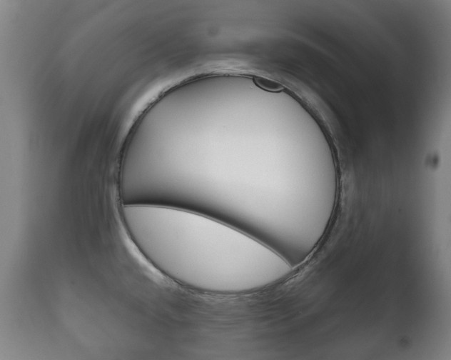 X0000111781432200907230939