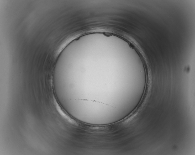 X0000111781433200907230939