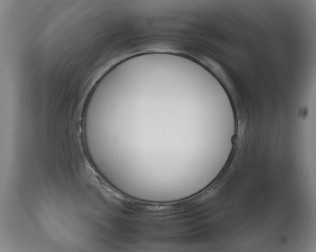 X0000111781435200907230939