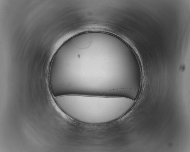 X0000111781437200907230939