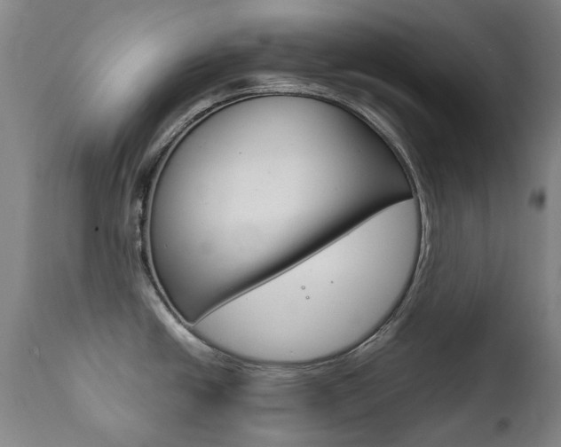 X0000111781438200907230939