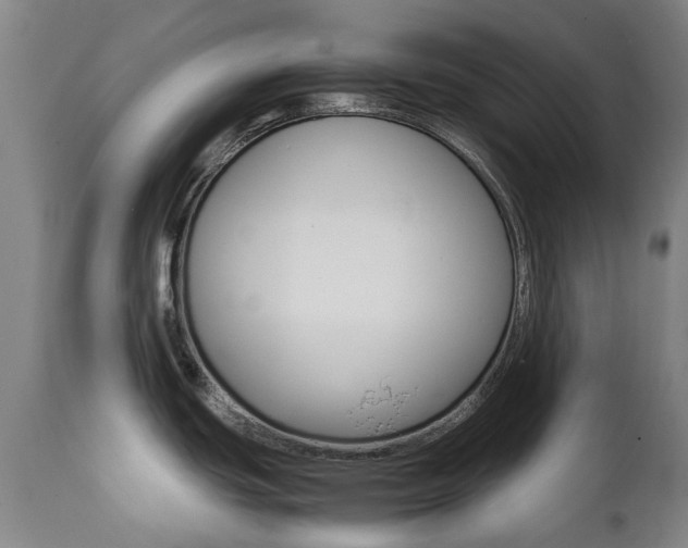 X0000111781439200907230939