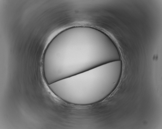 X0000111781440200907230939