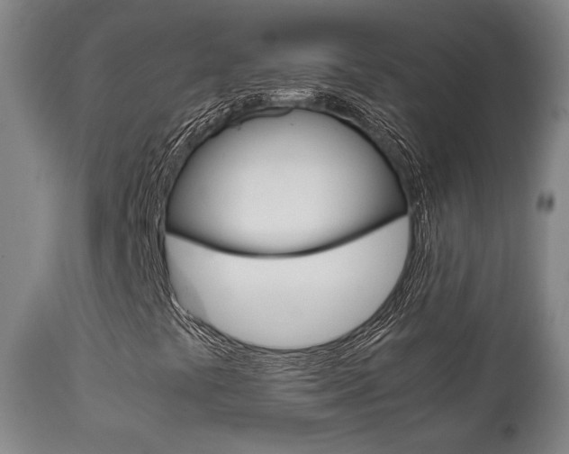 X0000111781441200907230938