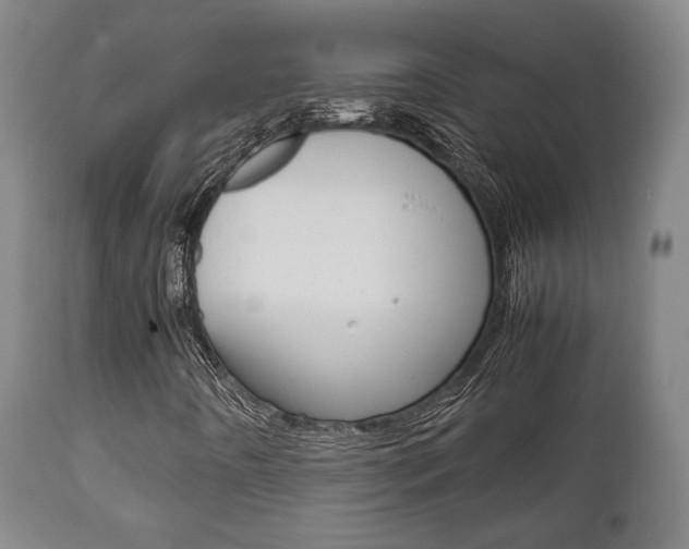 X0000111781442200907230938