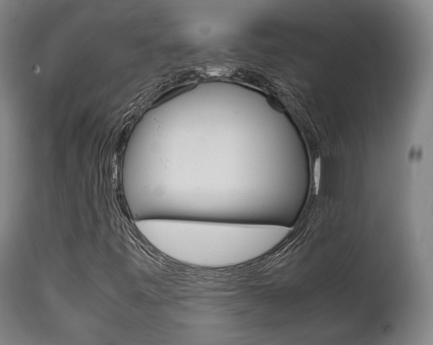 X0000111781443200907230938