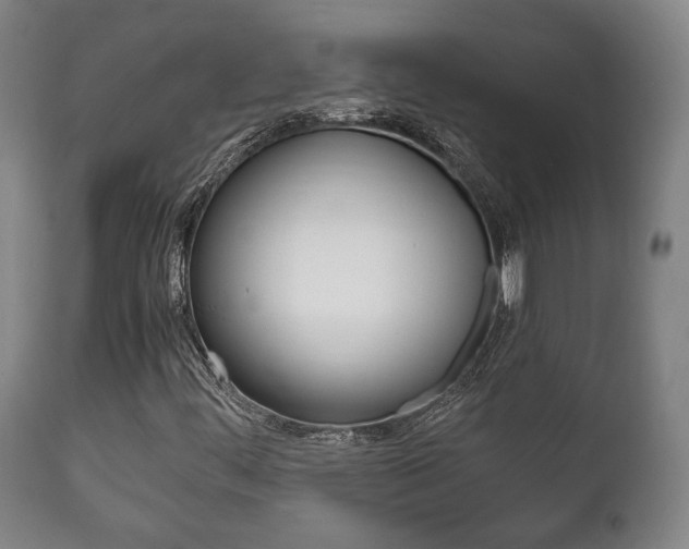 X0000111781444200907230938