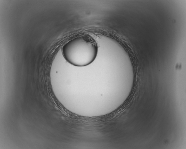 X0000111781445200907230938