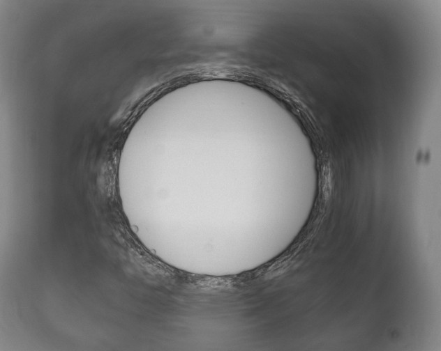 X0000111781446200907230938