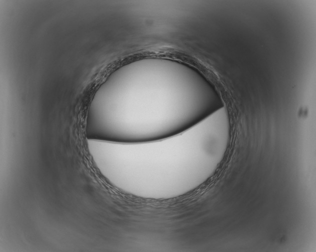 X0000111781447200907230938