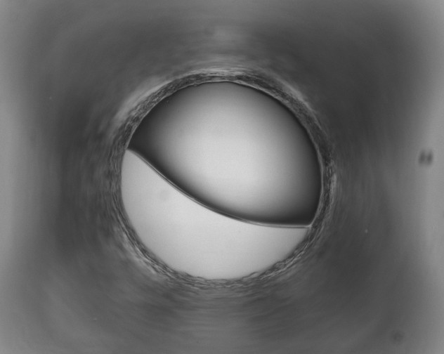 X0000111781448200907230938
