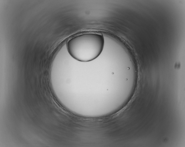 X0000111781449200907230938