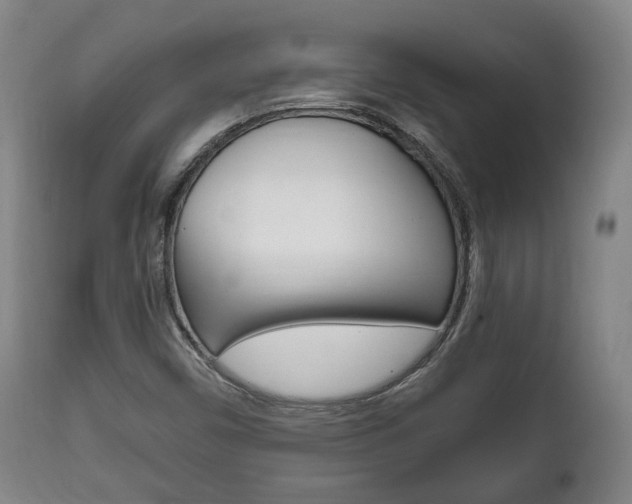 X0000111781450200907230938
