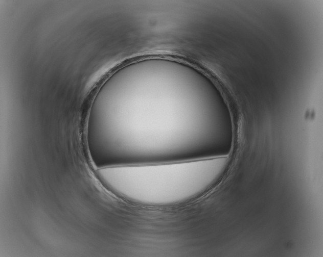 X0000111781452200907230938