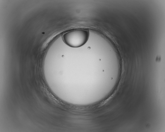 X0000111781453200907230938