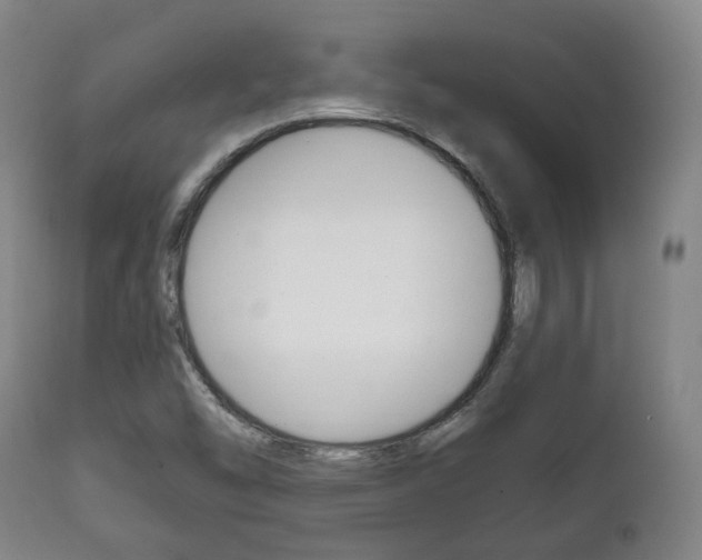 X0000111781454200907230938